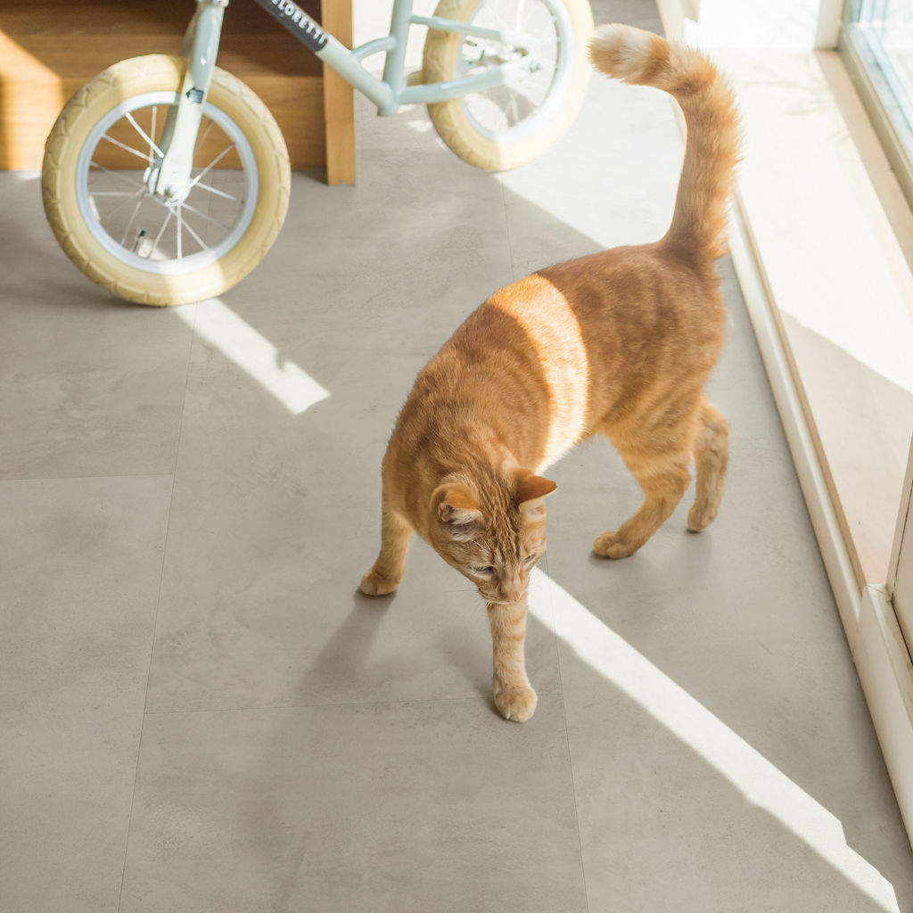 Grijs beton - Afbeelding 9