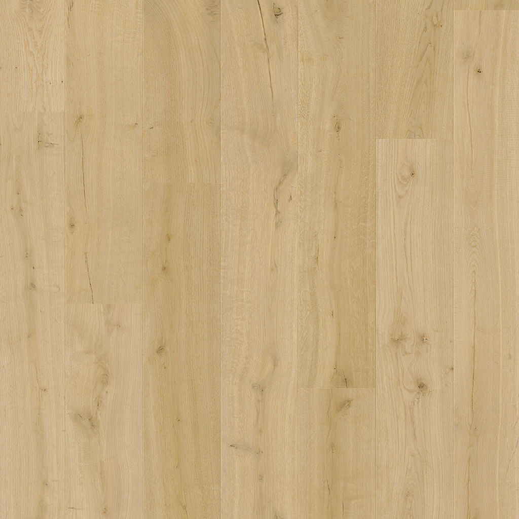 Katoen eik - Afbeelding 7