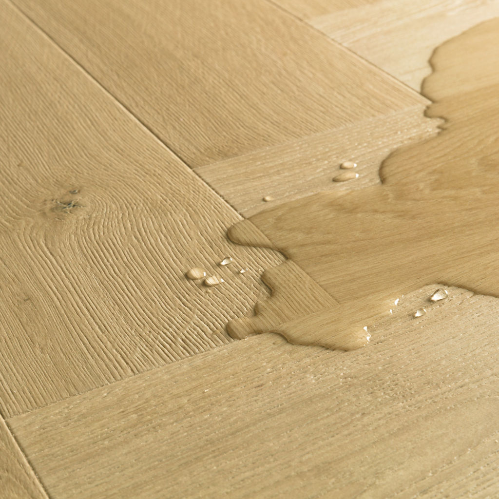 Kardemom eik - Afbeelding 3