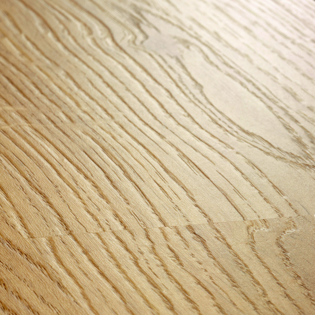 Witte lichte eik - Afbeelding 2