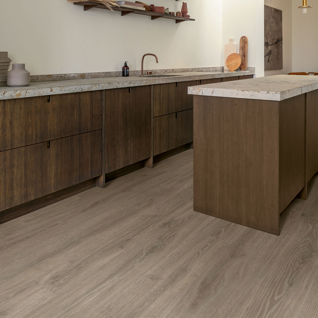 Bosland bruine eik - Afbeelding 2