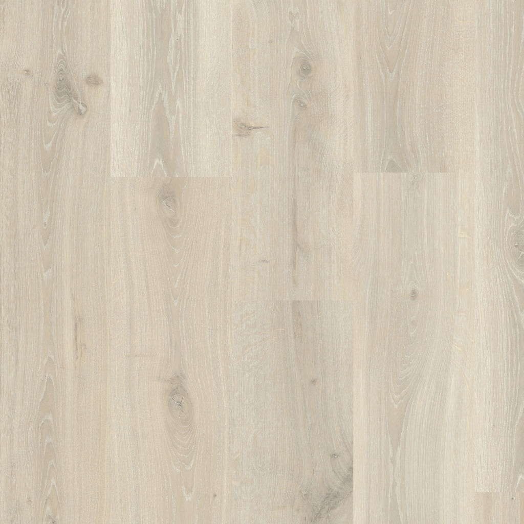 Tennessee grijze eik - Afbeelding 3