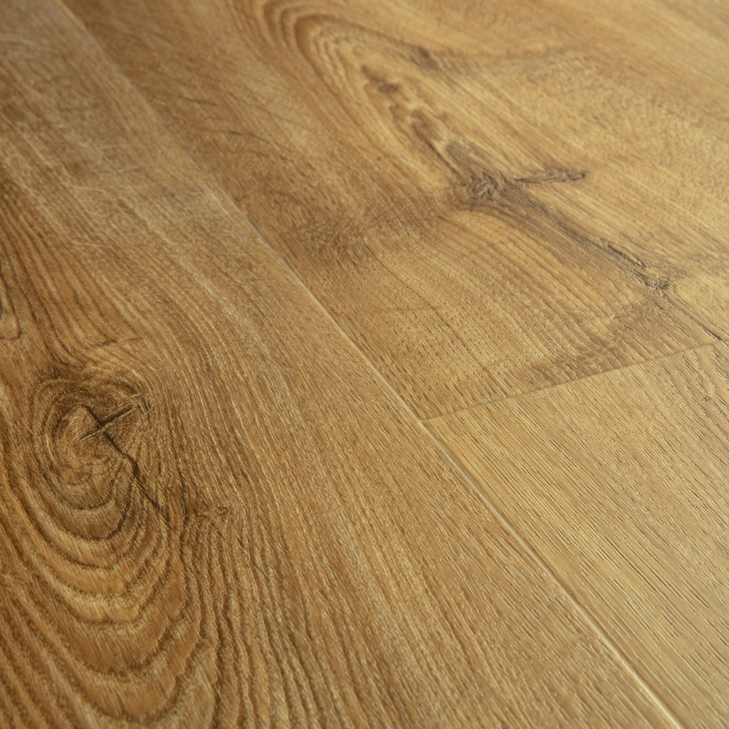 Herfst eik honing - PVC Plak - Afbeelding 3