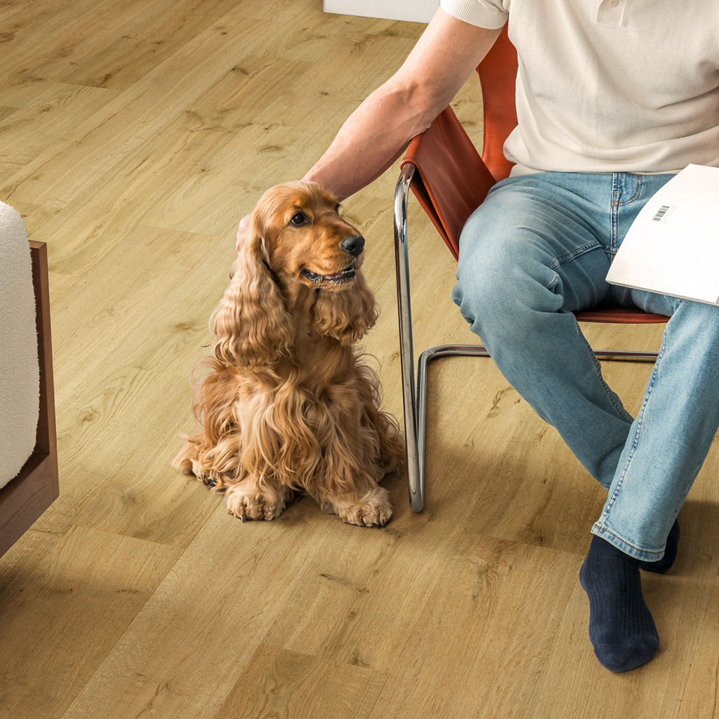 Truffel eik - Afbeelding 4