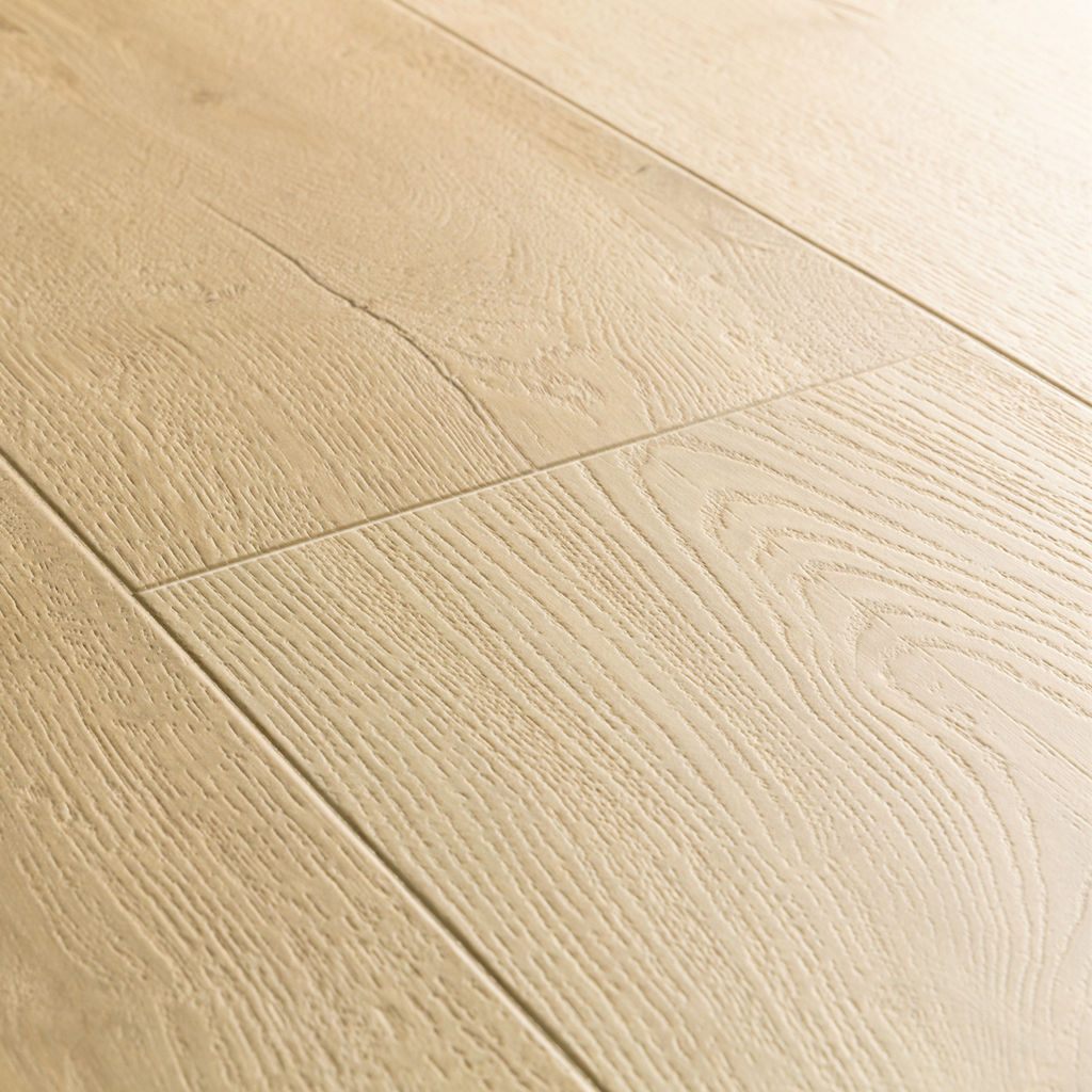 Katoen eik - Afbeelding 6