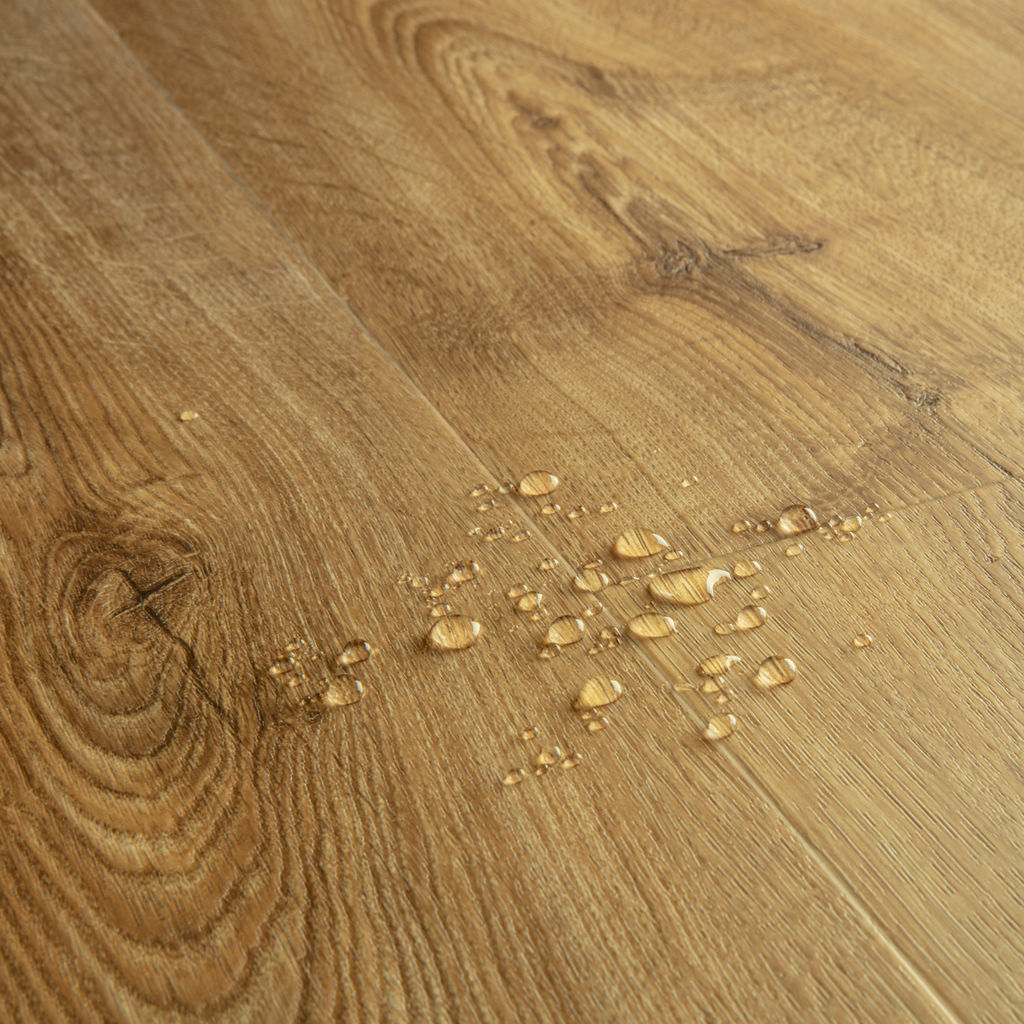 Herfst eik honing - PVC Plak - Afbeelding 4